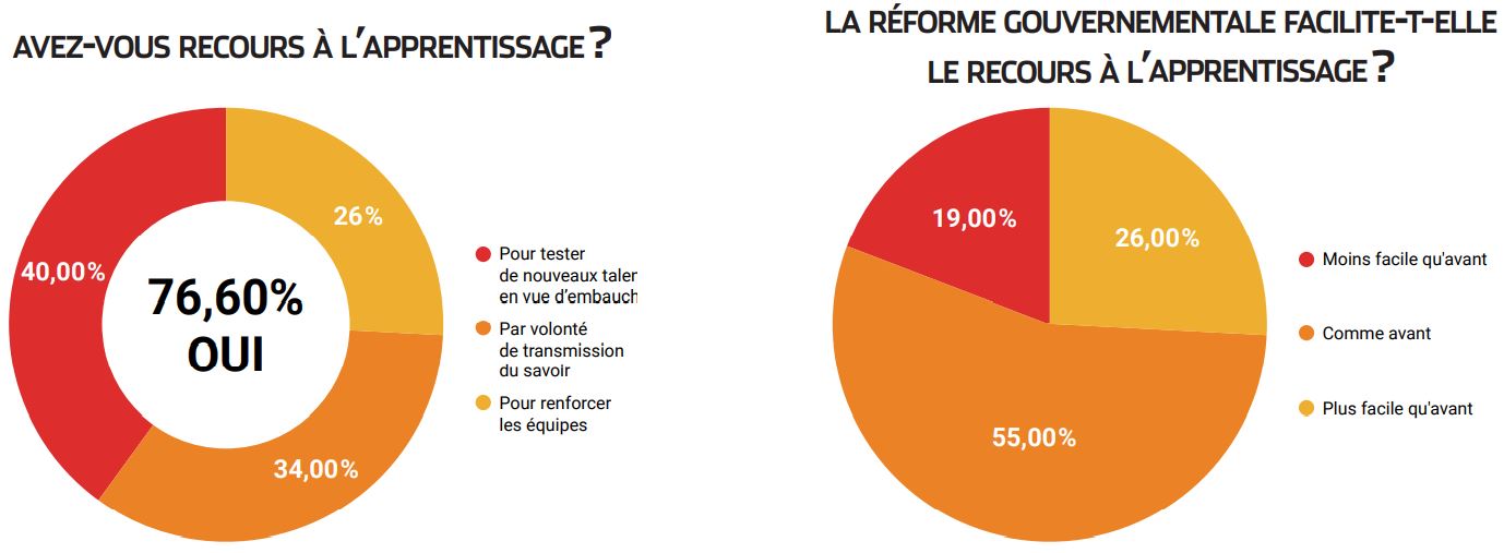 GRAPH 8 Avez-vous recours à l’apprentissage ? GRAPH 9 La réforme gouvernementale facilite-t-elle le recours à l’apprentissage ?