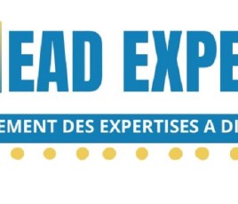 EAD Expert logo