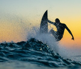 Surf vague AdobeStock