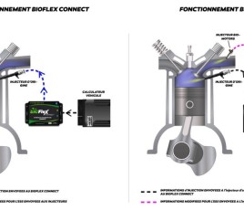BIOMOTORS