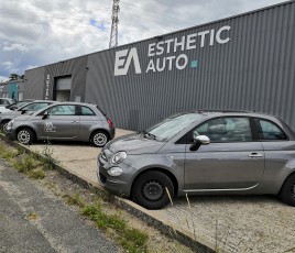 Esthetic Auto Tours