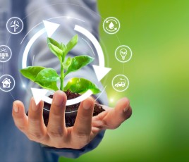 ECOLOGIE transition