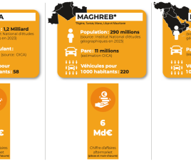 MEA infographie 2024