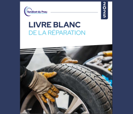 LIVRE BLANC Syndicat Pneu 2025