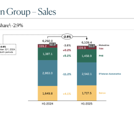 D'IETEREN GROUP bilan S1 2