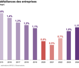  Preview Name TAUX DEFAILLANCE TPE-PME 2015-2025 BPCE