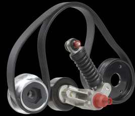 HUTCHINSON_distribution