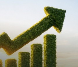 Groupe Lang & Associés variable verte