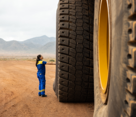 Michelin