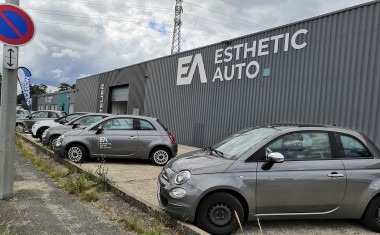 Esthetic Auto Tours