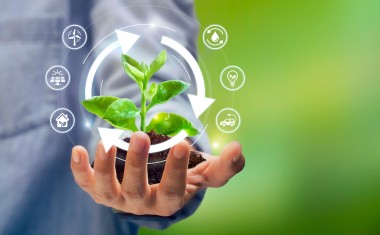 ECOLOGIE transition