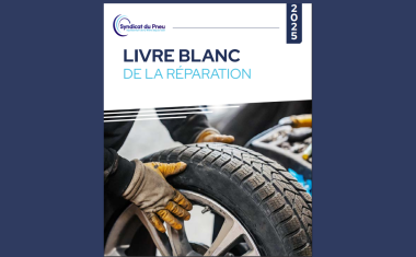 LIVRE BLANC Syndicat Pneu 2025