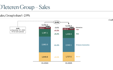 D'IETEREN GROUP bilan S1 2