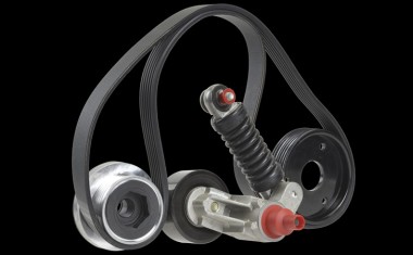 HUTCHINSON_distribution