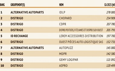 TOP 10 DISTRIGO INDEP IAM