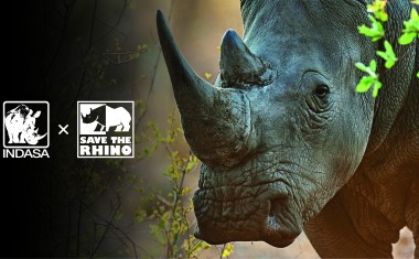 INDASA x SAVE THE RHINO