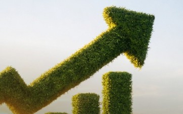 Groupe Lang & Associés variable verte