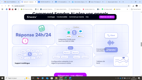 Sandra AI flux