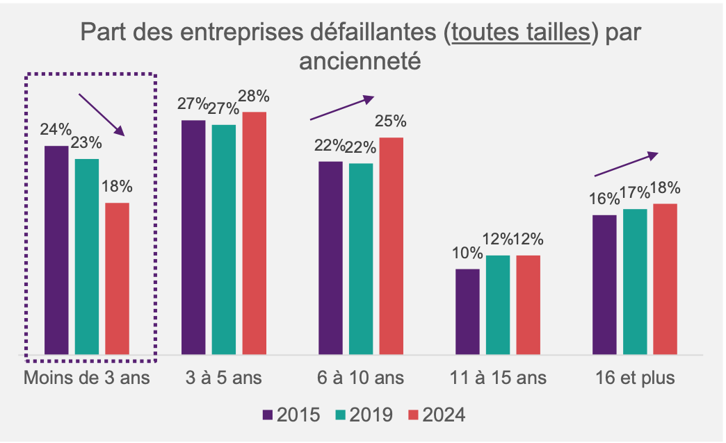 DÉFAILLANCES Profils ENTREPRISES 2024 BPCE