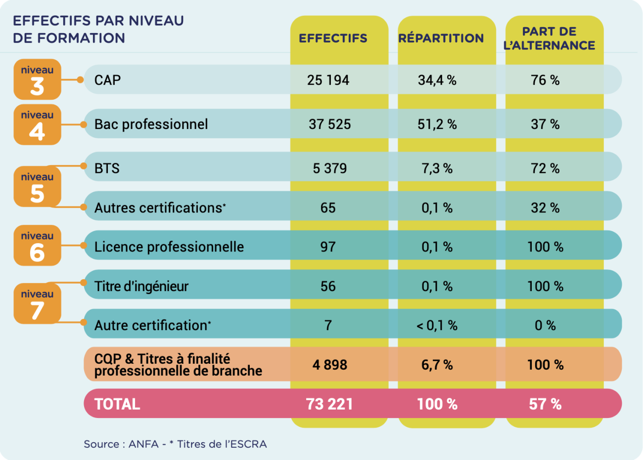 Effectif par niveau de formation Autofocus 2025