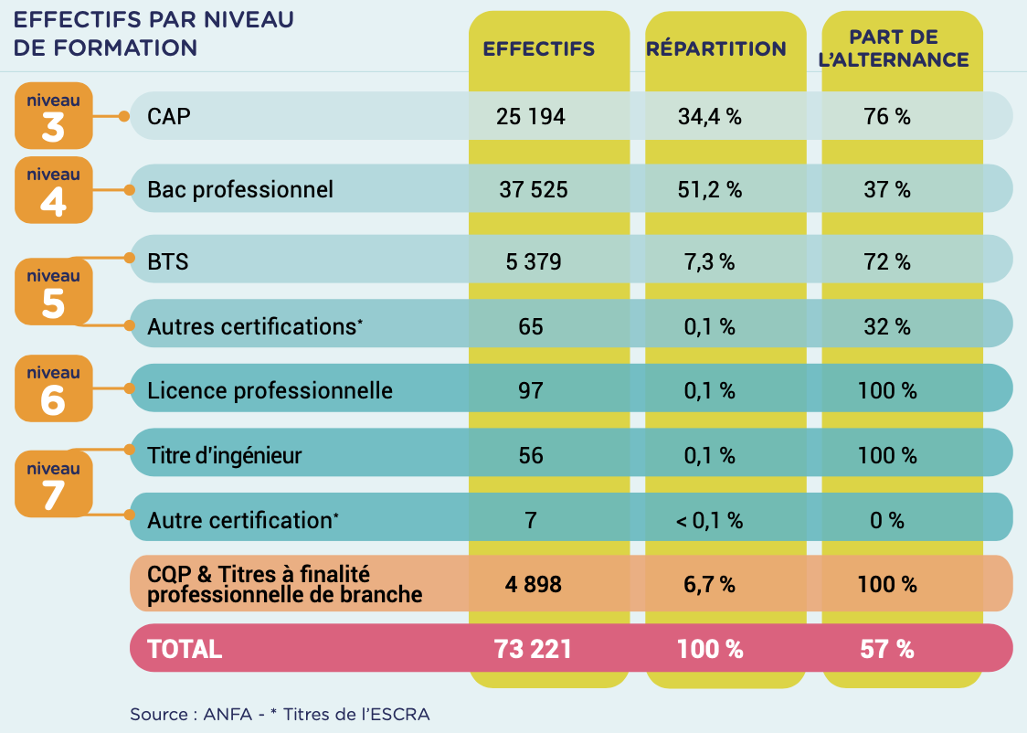 Autofocus-ANFA-effectifs par niveau