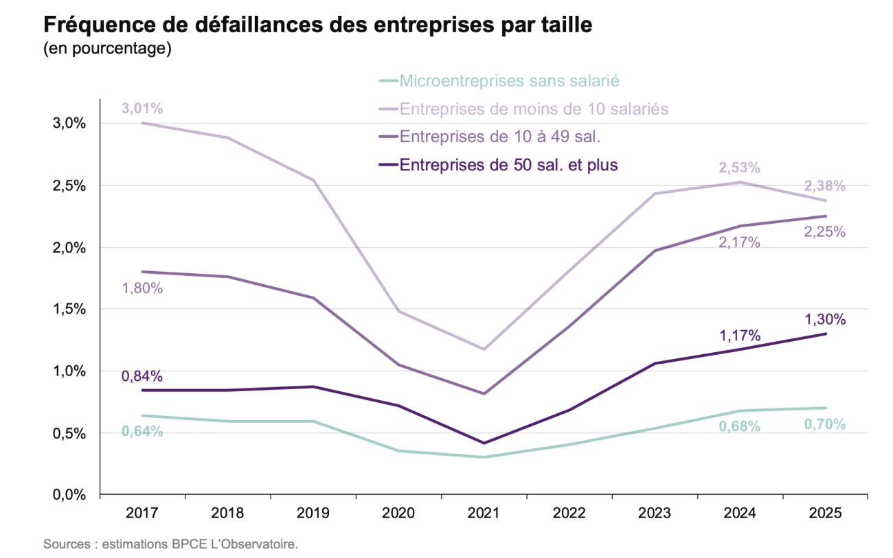 Fréquence défaillances par taille BPCE bilan 2025