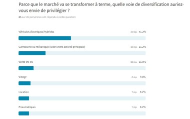 Sondage_infographie diversification