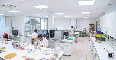 Laboratoire Indasa à Aveiro