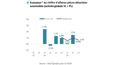 Bilan 10 mois CGF feda CA