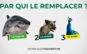feu vert