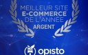 Opisto